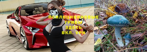 спиды Покачи